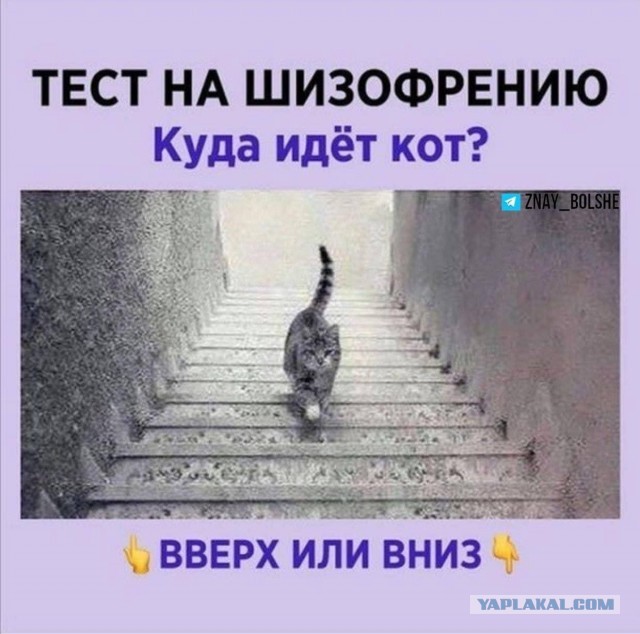 Так себе картинки 01.05.22