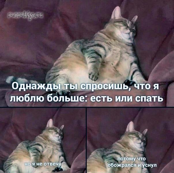 Картинки и мемы, всем хороших выходных