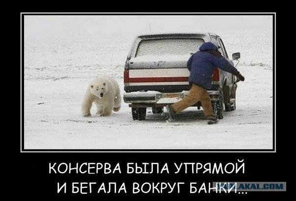 30 Пикчев из старых запасов