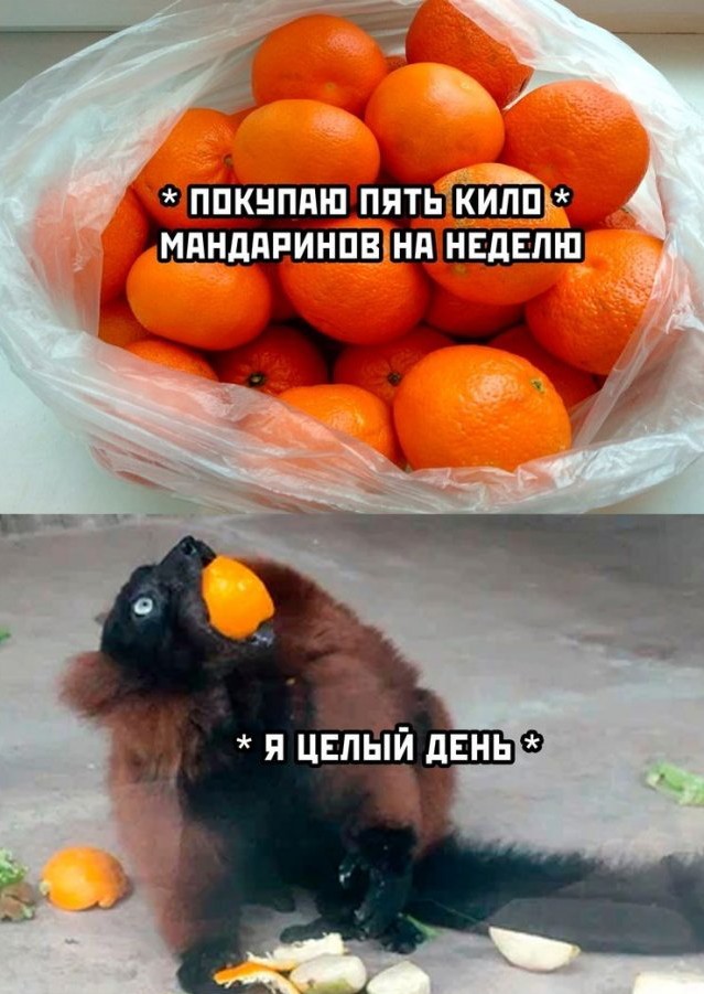 Немного аморального юмора