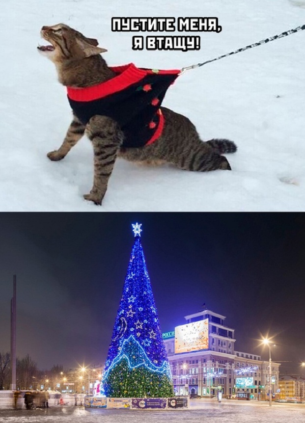 Картинки и мемы. Выходные близко...