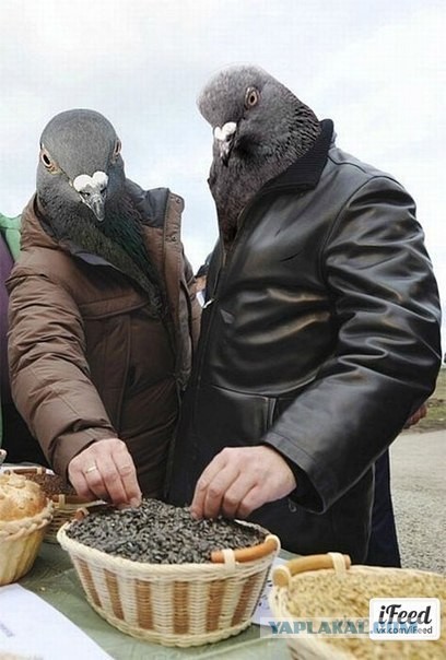 Оксана, с днём рождения!