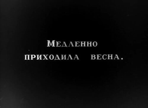 Нуштош 06.04.2023