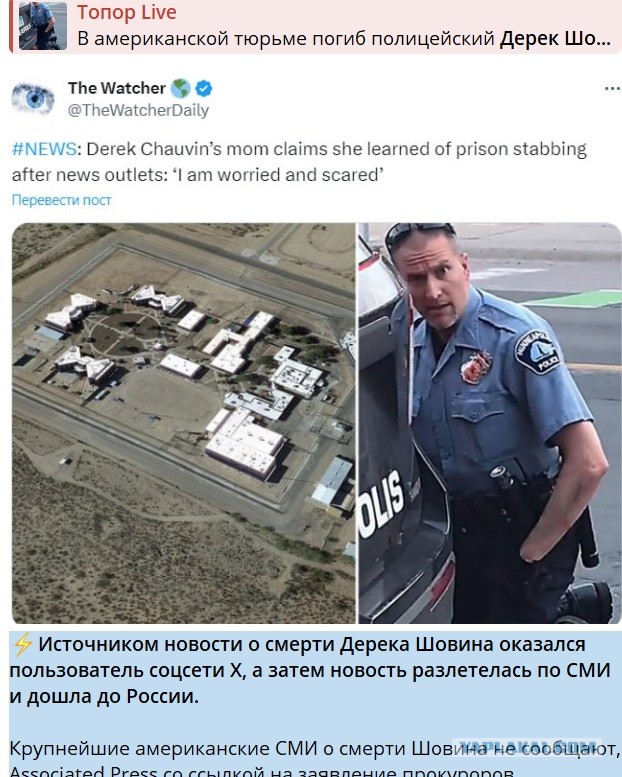 В США умер полицейский Дерек Шовин