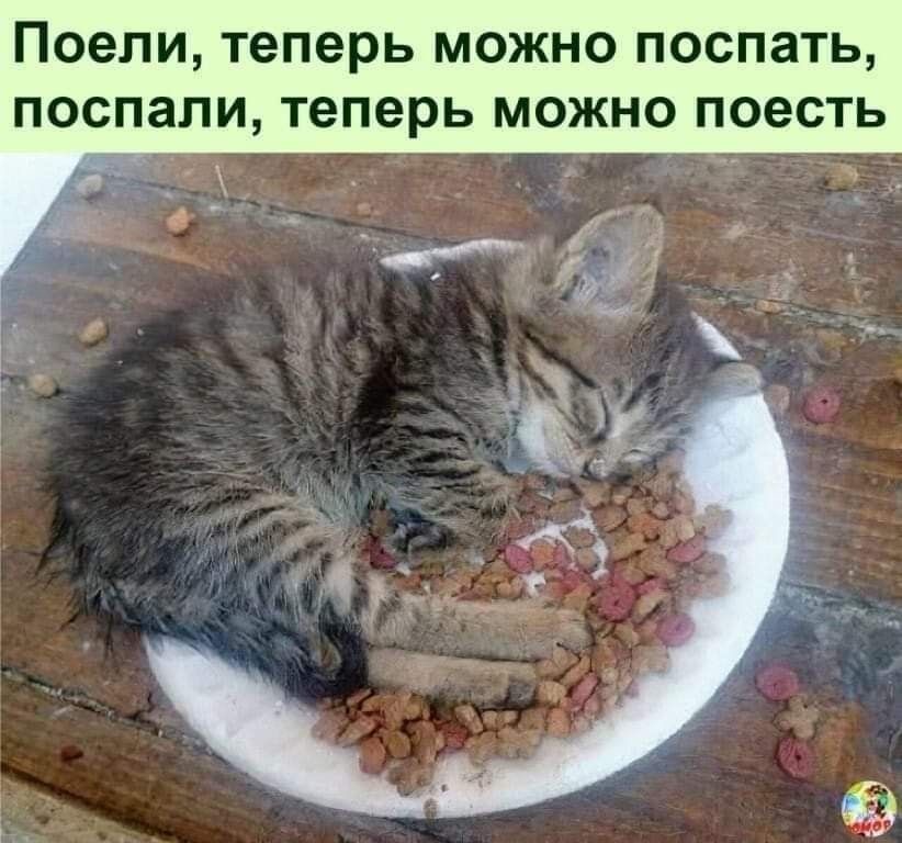 20067800.jpg