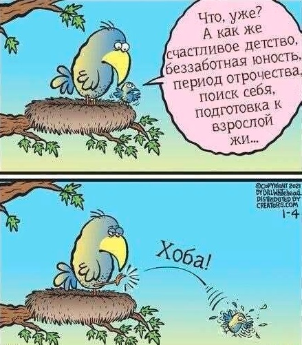 Так себе картинки 06.07.25