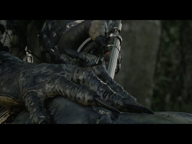 Чужой и Хищник с точки зрения биологии