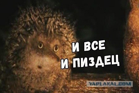 Фото настораживает… Новость внутри