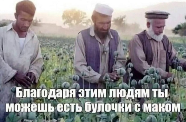 Назовете слово целиком?