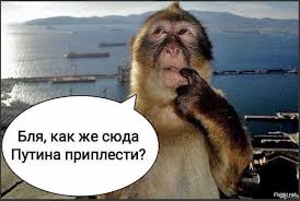 Ну не шмогла я, не шмогла