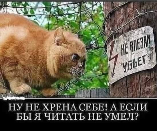 Ужас и Адъ