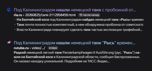 На Балтийской косе найден редчайший танк вермахта «Рысь»
