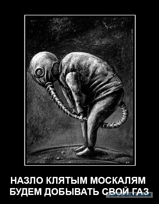 Сланцевый пук