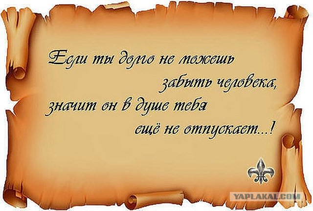 20 фактов обо всем