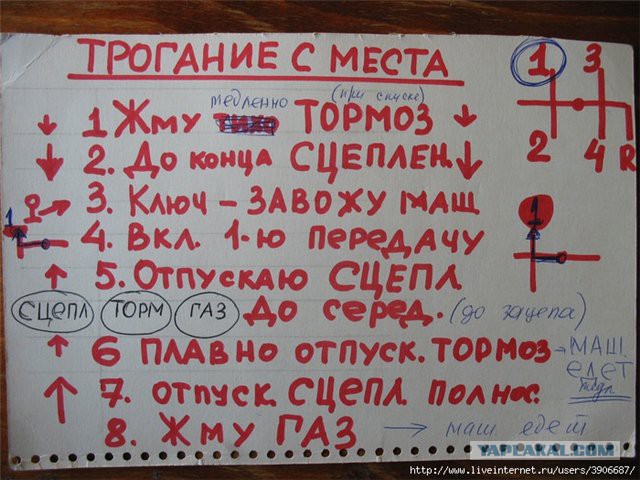 Женщина за рулем