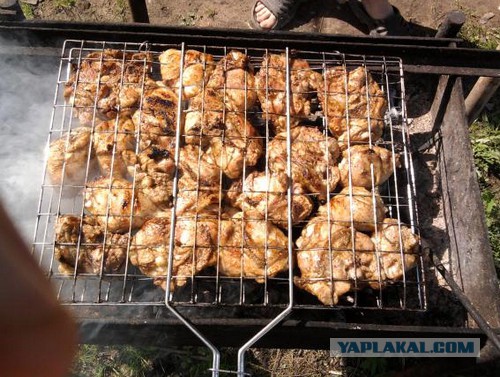 Шашлык, рецепты маринада, все про шашлык!