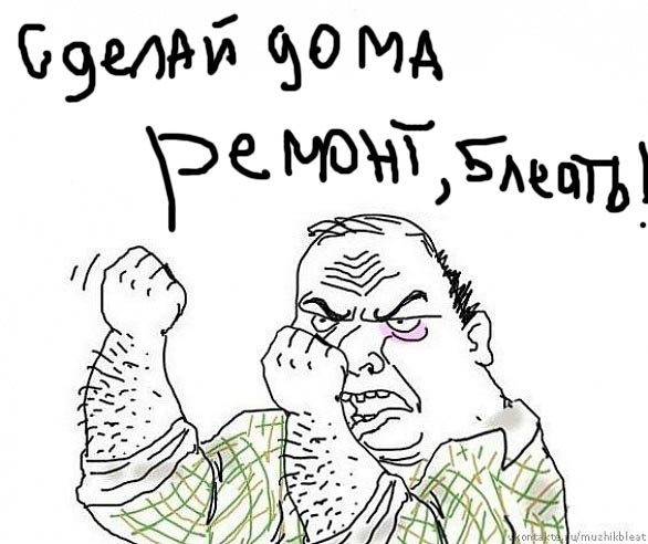 Котэ попал