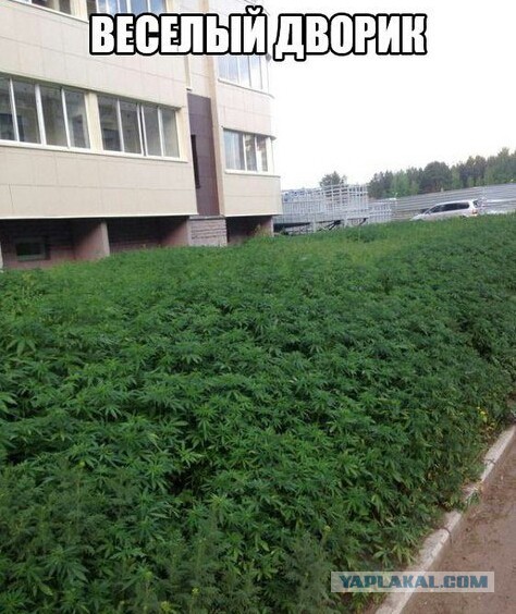 Картинки. Из тырнета