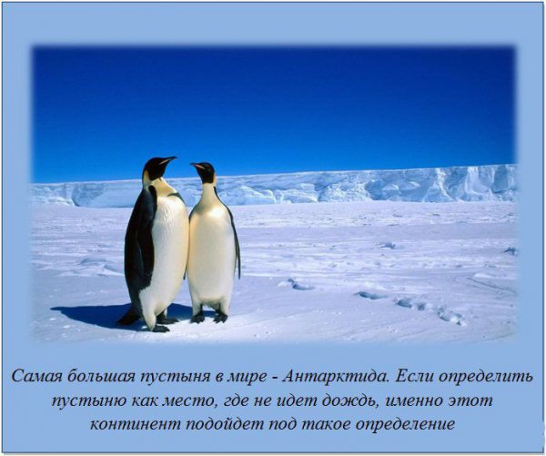 25 удивительных фактов