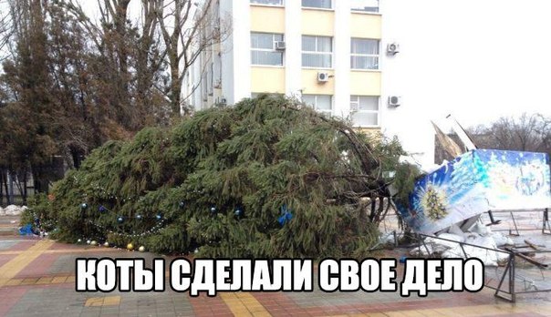 Разные картинки