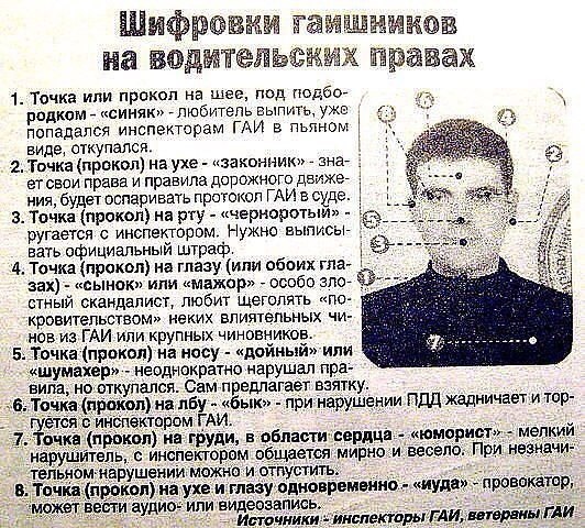 Подборка безудержного веселья