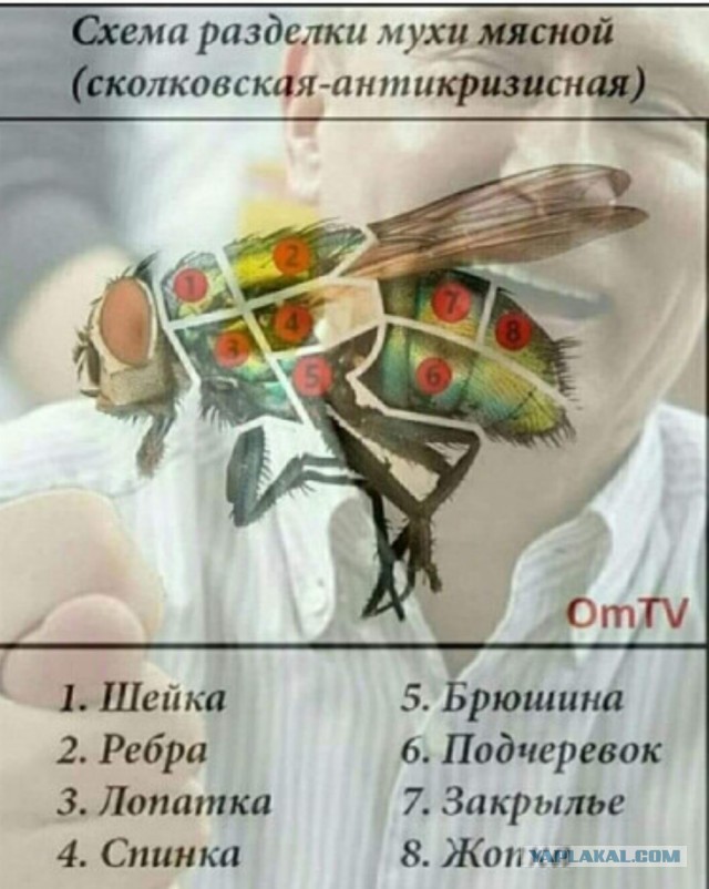 Бредзона 19.03.2020