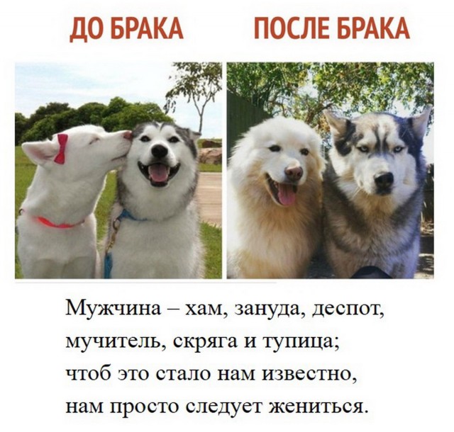Моя история с РСП (сколько раз я обжёгся прежде чем понял всю суть)