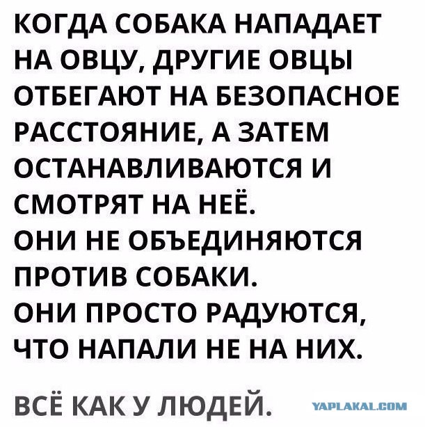 Они все заботятся о нас, не забывают!