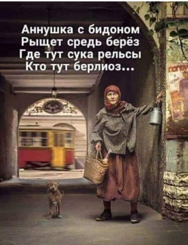Прикольные и просто красивые картинки 19.11.2020