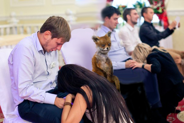 Таксидермия + наркомания