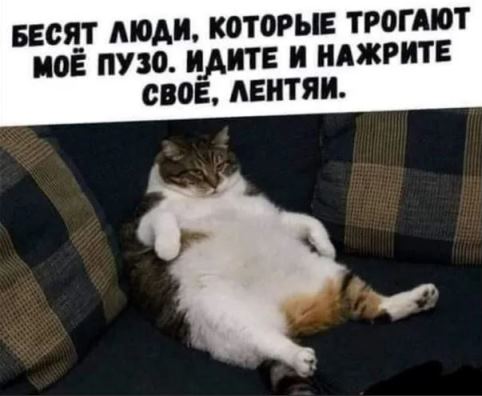 Женщины назвали причины, по которым отказывают мужчинам в сексе