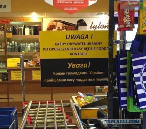 Боги, спустившиеся с небес