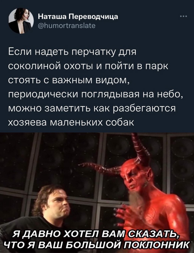 Весёлый полтишок 20.04.22