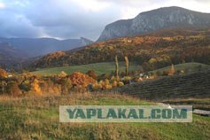 Крым. Змеиная балка. Терень-Джалга.