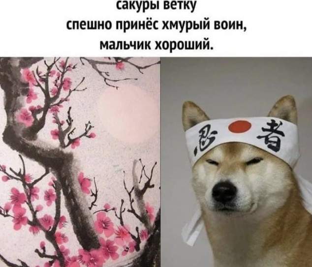 Немного картинок для настроения - 125
