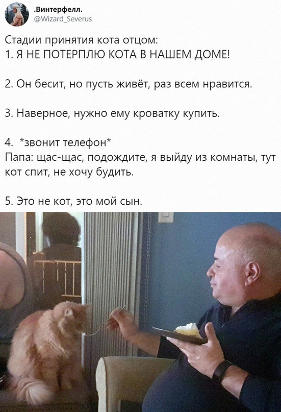 Весёлый полтишок 22.10.23