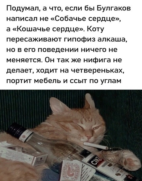 Так себе картинки 04.11.23