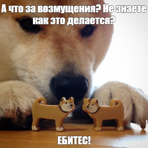 Матвиенко предложила при рождении третьего ребенка давать семье квартиру