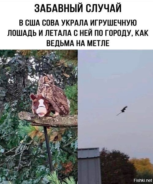 Весёлый полтишок 19.11.23