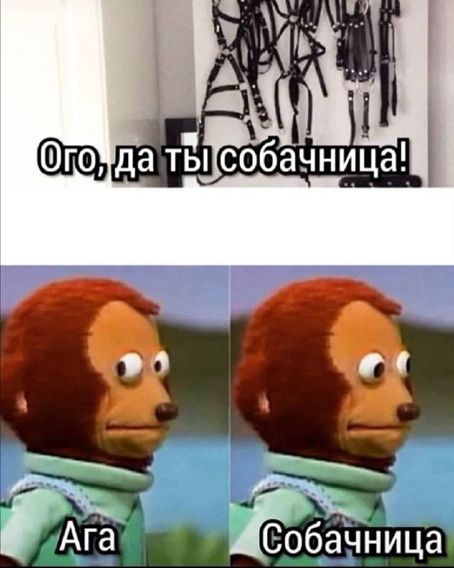 Пошло-тупые картинки для деградации