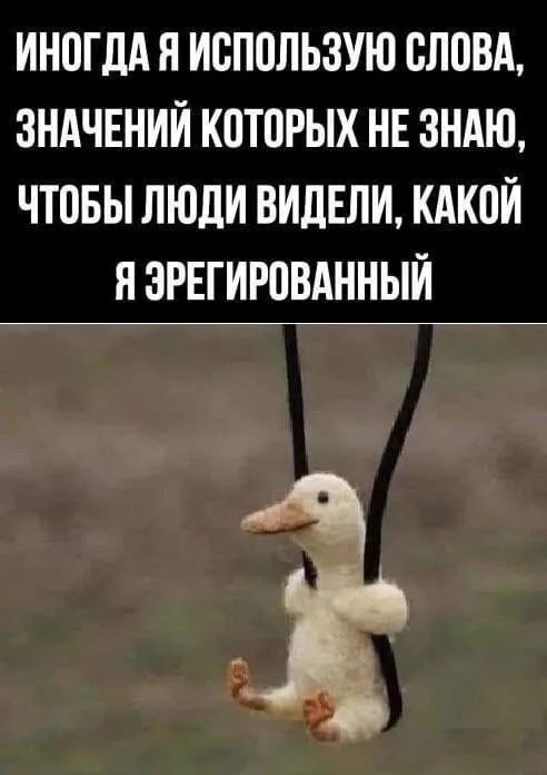 Юмор в картинках и без