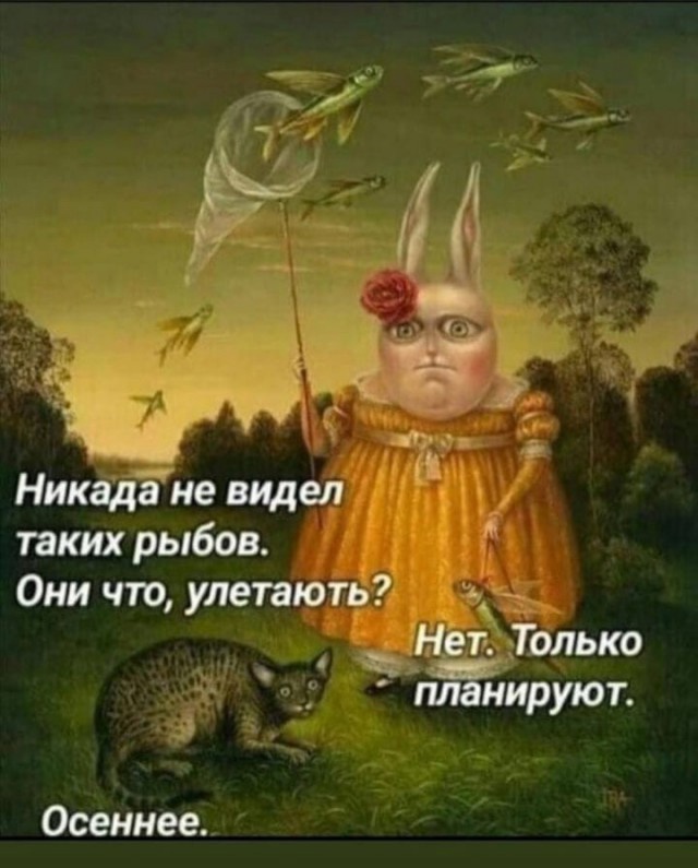 Так себе картинки 06.10.24