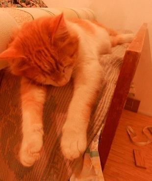 Мелом обвести?