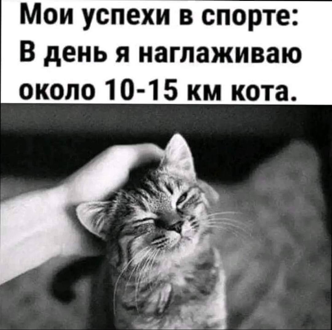 20028900.jpg