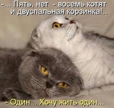 Ей срочно нужен отпуск