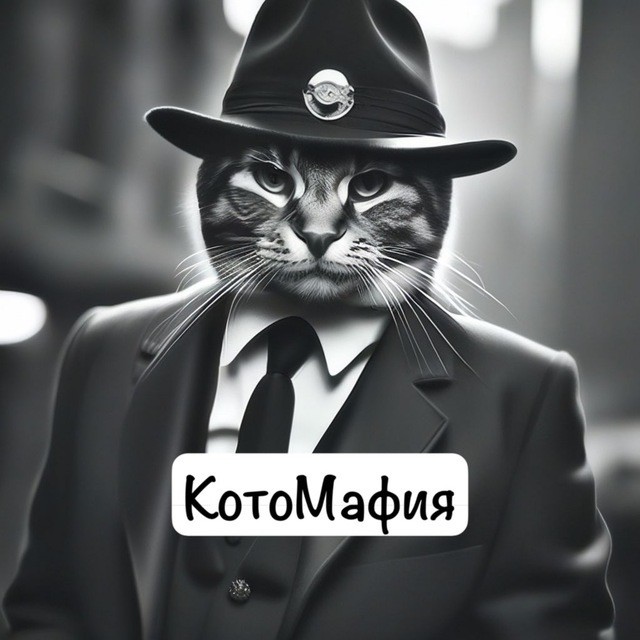Реакция бездомного пса на незнакомку