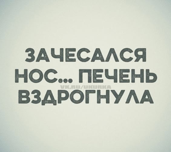Веселые картинки в пятницу (26.12)