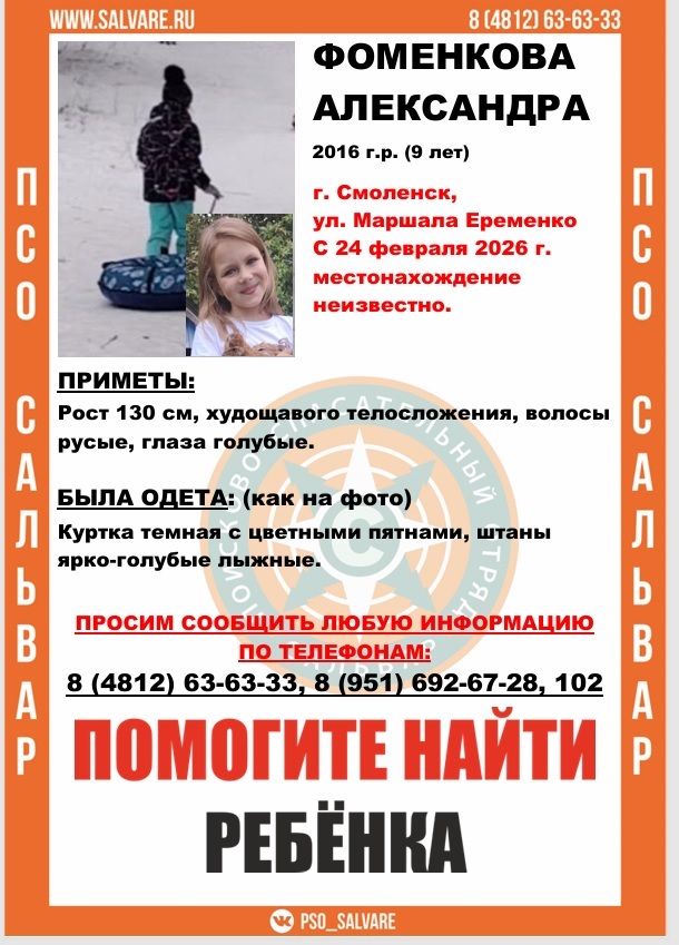 Девятилетняя девочка загадочно пропала в Смоленске во время прогулки с собакой