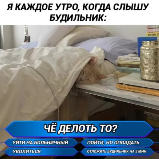 Котямбосы