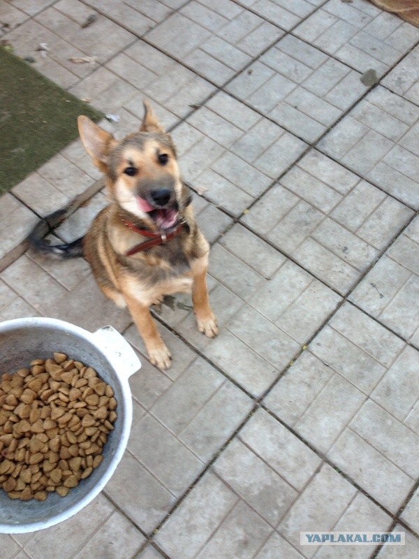 Чем еще могут заниматься IT-шники